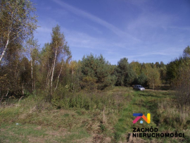 Działka siedliskowa 3648m2 - Radomia-Orzewo